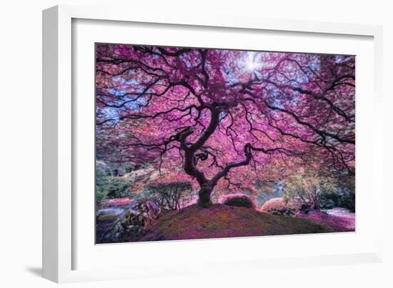 Pink Tree 2-Moises Levy-Framed Premium Photographic Print