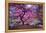 Pink Tree 2-Moises Levy-Framed Premier Image Canvas