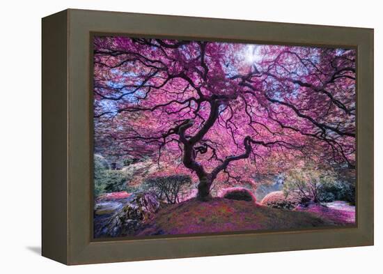 Pink Tree 2-Moises Levy-Framed Premier Image Canvas