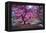 Pink Tree 2-Moises Levy-Framed Premier Image Canvas