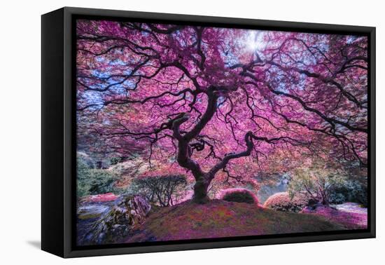 Pink Tree 2-Moises Levy-Framed Premier Image Canvas