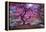 Pink Tree 2-Moises Levy-Framed Premier Image Canvas