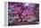 Pink Tree 2-Moises Levy-Framed Premier Image Canvas