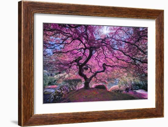 Pink Tree 2-Moises Levy-Framed Photographic Print