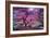 Pink Tree 2-Moises Levy-Framed Photographic Print