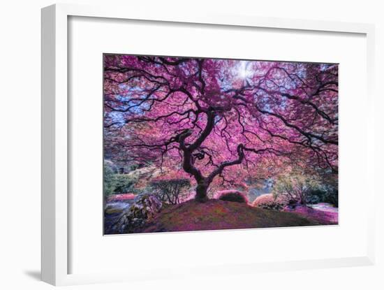 Pink Tree 2-Moises Levy-Framed Photographic Print