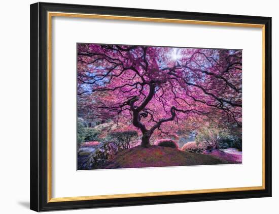 Pink Tree 2-Moises Levy-Framed Photographic Print