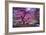 Pink Tree 2-Moises Levy-Framed Photographic Print