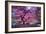 Pink Tree 2-Moises Levy-Framed Photographic Print