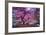 Pink Tree 2-Moises Levy-Framed Photographic Print