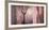 Pink Tree Collage-Cora Niele-Framed Photographic Print