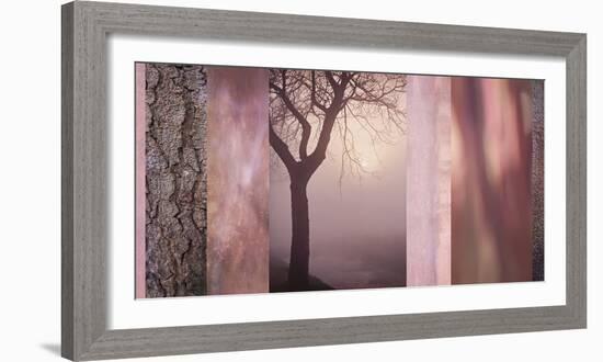 Pink Tree Collage-Cora Niele-Framed Photographic Print