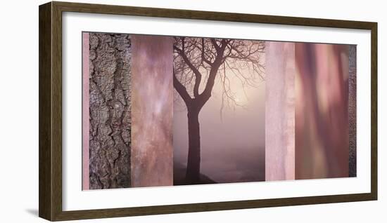 Pink Tree Collage-Cora Niele-Framed Photographic Print