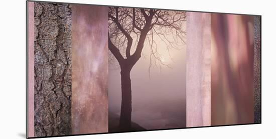 Pink Tree Collage-Cora Niele-Mounted Photographic Print