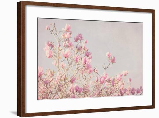 Pink Tree Tops I-Elizabeth Urquhart-Framed Photo