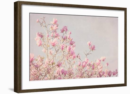 Pink Tree Tops I-Elizabeth Urquhart-Framed Photo