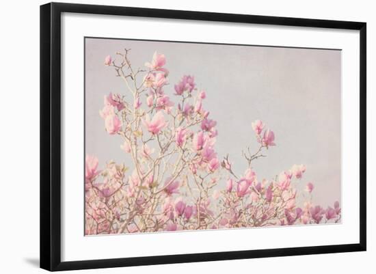 Pink Tree Tops I-Elizabeth Urquhart-Framed Photo