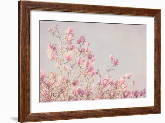 Pink Tree Tops I-Elizabeth Urquhart-Framed Photo