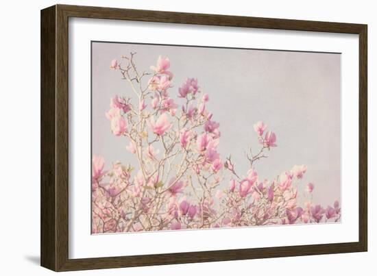 Pink Tree Tops I-Elizabeth Urquhart-Framed Photographic Print