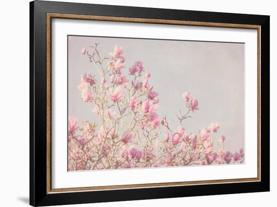 Pink Tree Tops I-Elizabeth Urquhart-Framed Photographic Print