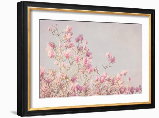 Pink Tree Tops I-Elizabeth Urquhart-Framed Photographic Print