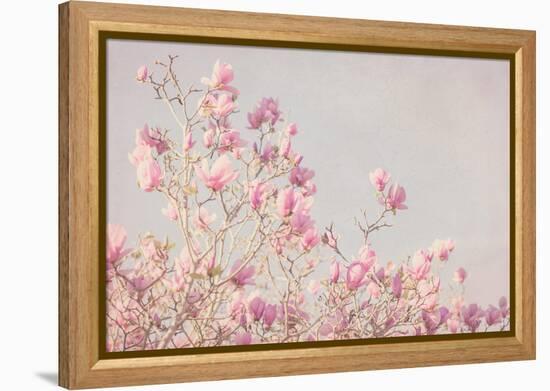 Pink Tree Tops I-Elizabeth Urquhart-Framed Stretched Canvas