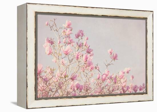 Pink Tree Tops I-Elizabeth Urquhart-Framed Stretched Canvas