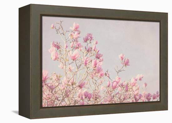 Pink Tree Tops I-Elizabeth Urquhart-Framed Stretched Canvas