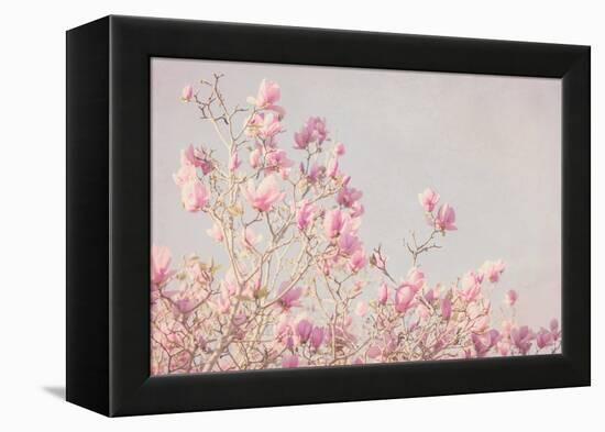 Pink Tree Tops I-Elizabeth Urquhart-Framed Stretched Canvas