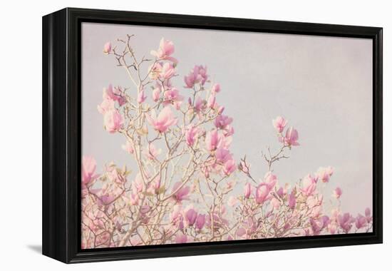 Pink Tree Tops I-Elizabeth Urquhart-Framed Stretched Canvas