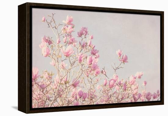 Pink Tree Tops I-Elizabeth Urquhart-Framed Stretched Canvas