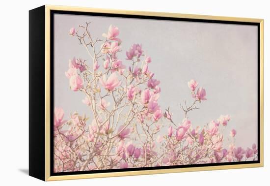 Pink Tree Tops I-Elizabeth Urquhart-Framed Stretched Canvas