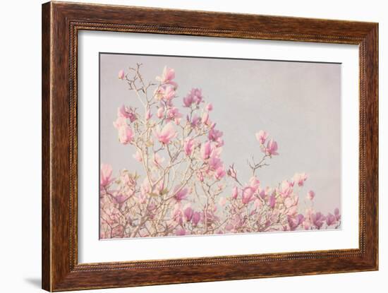 Pink Tree Tops I-Elizabeth Urquhart-Framed Photo