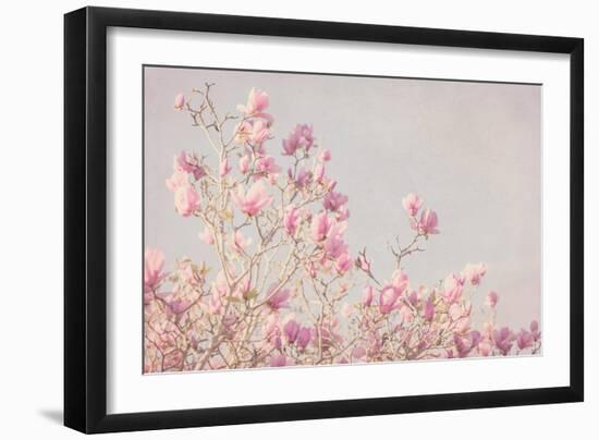 Pink Tree Tops I-Elizabeth Urquhart-Framed Photo