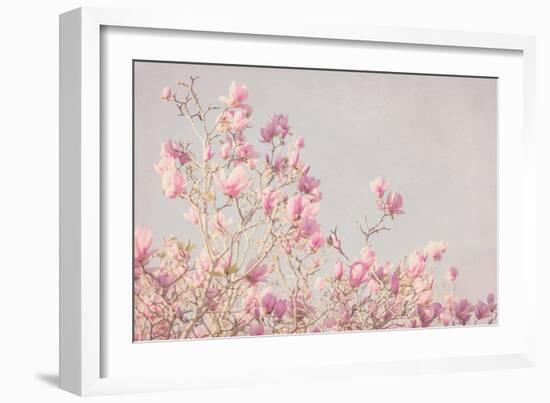 Pink Tree Tops I-Elizabeth Urquhart-Framed Photo