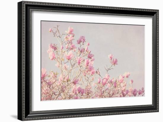 Pink Tree Tops I-Elizabeth Urquhart-Framed Photo