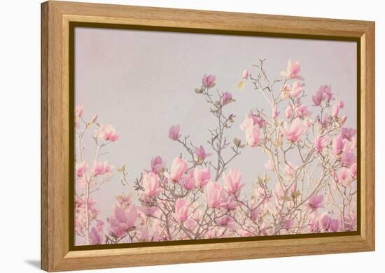 Pink Tree Tops II-Elizabeth Urquhart-Framed Stretched Canvas