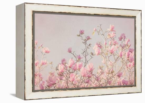 Pink Tree Tops II-Elizabeth Urquhart-Framed Stretched Canvas