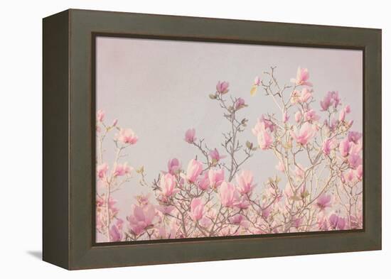 Pink Tree Tops II-Elizabeth Urquhart-Framed Stretched Canvas