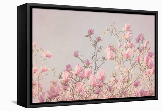 Pink Tree Tops II-Elizabeth Urquhart-Framed Stretched Canvas