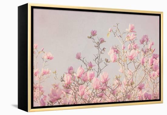 Pink Tree Tops II-Elizabeth Urquhart-Framed Stretched Canvas