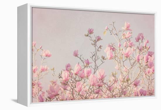Pink Tree Tops II-Elizabeth Urquhart-Framed Stretched Canvas