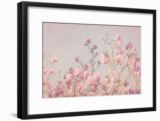 Pink Tree Tops II-Elizabeth Urquhart-Framed Photo