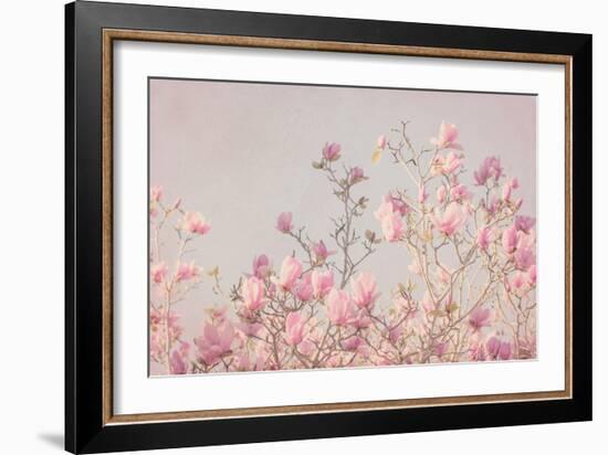 Pink Tree Tops II-Elizabeth Urquhart-Framed Photo