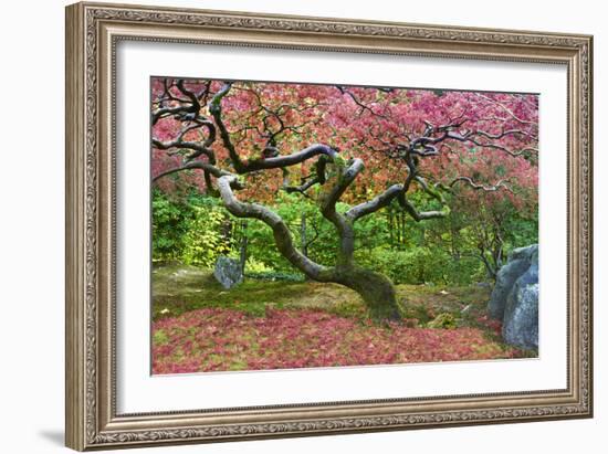 Pink Tree-Moises Levy-Framed Photographic Print