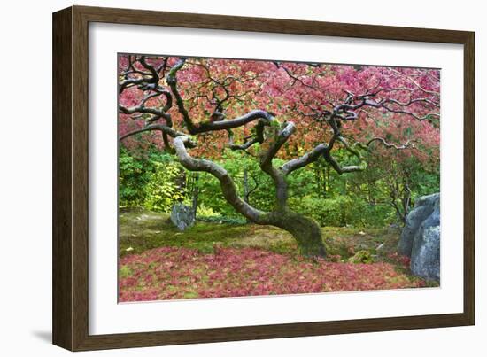 Pink Tree-Moises Levy-Framed Photographic Print