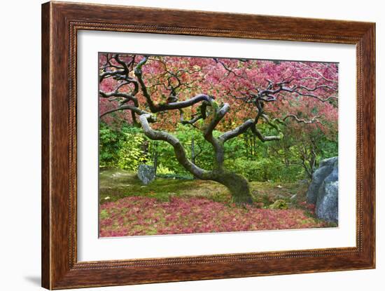 Pink Tree-Moises Levy-Framed Photographic Print