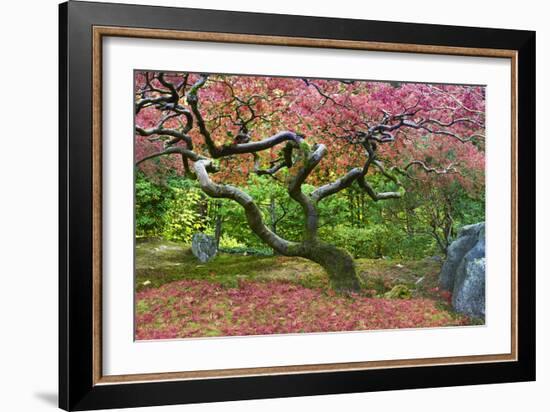 Pink Tree-Moises Levy-Framed Photographic Print