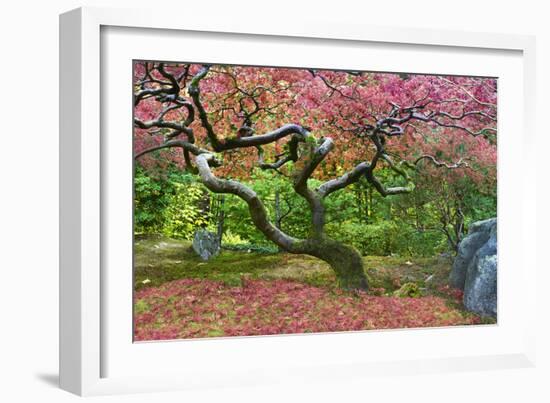 Pink Tree-Moises Levy-Framed Photographic Print