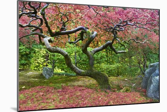 Pink Tree-Moises Levy-Mounted Photographic Print